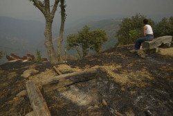 Los incendios avanzan sin control en Ourense, Zamora y C&aacute;ceres, sin tregua por las altas temperaturas