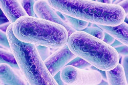 Los ni&ntilde;os con diabetes tipo 1 pueden tener una composici&oacute;n de bacterias intestinales menos adecuada