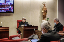 Los obispos defienden al  Papa pero Ayuso tiene toda la raz&oacute;n