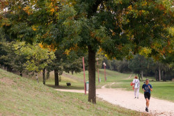Los term&oacute;metros suben el fin de semana, 10&ordm;C m&aacute;s de lo normal el domingo, y seguir&aacute;n las lluvias en suroeste y Canarias