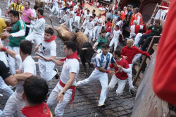 Los toros de &Aacute;lvaro N&uacute;&ntilde;ez protagonizan un veloz tercer encierro, con m&uacute;ltiples ca&iacute;das y un herido por asta
