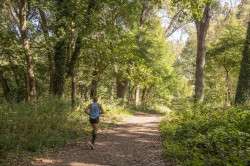 Los trabajos de rehabilitación del Patatal comenzarán de forma "inminente"