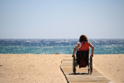 Los trasplantes de c&eacute;lulas madre hematopoy&eacute;ticas pueden proporcionar beneficio a largo plazo en la esclerosis m&uacute;ltiple