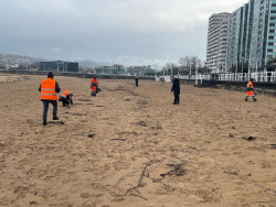 Los voluntarios recoger&aacute;n p&eacute;lets este fin de semana coincidiendo con la bajamar en once playas asturianas
