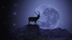 Luna del cazador, por Francisco Glez-Riancho Colongues