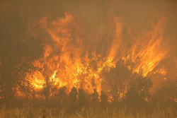 Ma&ntilde;ueco anuncia un plan especial para la Sierra de la Culebra y valora con S&aacute;nchez el estado del fuego
