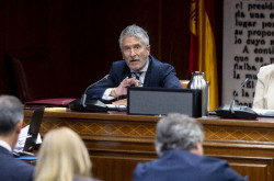 Marlaska, mentiroso convulsivo, dice que conoci&oacute; el viaje de Delcy "muy pocas horas antes" y que  "ni pasaron las maletas"
