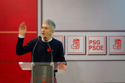 Marlaska sobre el caso `Mediador` se enter&oacute; por la prensa