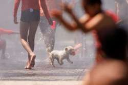 M&aacute;s de 30 provincias estar&aacute;n hoy en alerta por otra ola de calor, con C&oacute;rdoba y Ja&eacute;n en riesgo extremo y hasta 44&ordm;C