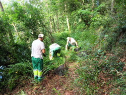M&aacute;s de 400 personas participan en `Fluviatilis` de Red Cambera para el control de especies invasoras en el As&oacute;n