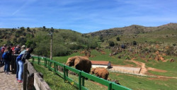 M&aacute;s de 9.800 turistas visitan Cab&aacute;rceno, Fuente D&eacute; y el Soplao en Jueves Santo