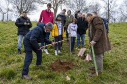 M&aacute;s de un centenar de jugadores de Cantbasket 04 plantan &aacute;rboles aut&oacute;ctonos en Cab&aacute;rceno