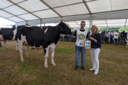 M&aacute;s de un centenar de vacas frisonas participan en la 148 edici&oacute;n del concurso-exposici&oacute;n de Renedo