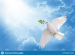 Memoria recuperada, por Alfonso Campuzano