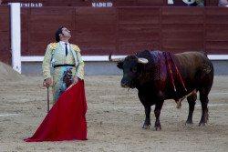 Morante de la Puebla, el Juli o Cayetano Rivera, en la Feria de Santiago de Santander