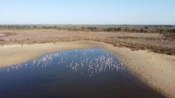 Moreno: La Junta comprar&aacute; 7.500 hect&aacute;reas, la mitad inundadas, para proteger Do&ntilde;ana frente al cambio clim&aacute;tico