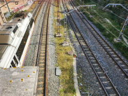 Muere un hombre de 51 a&ntilde;os arrollado por un tren en Santander