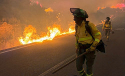 Mueren seis personas en el incendio forestal de Los Gallardos