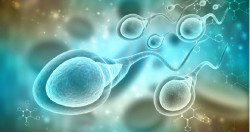 Nace el primer bebé a partir de una técnica de reproducción que "activa" los espermatozoides