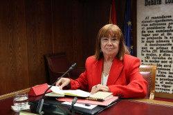 Narbona llega al Senado y dice que no sabe nada