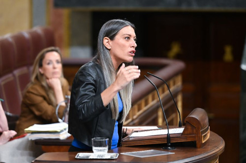 Nogueras (Junts) insiste en la `v&iacute;a Starmer` y niega contactos con PP: "No se puede pasar p&aacute;gina"