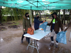 Noja celebra el D&iacute;a del &Aacute;rbol repartiendo 600 ejemplares frutales y ornamentales