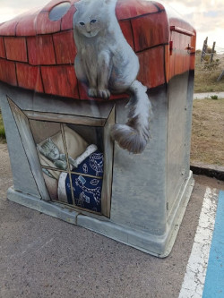 Noja instala contenedores para gatos dentro del proyecto para el control de las colonias felinas