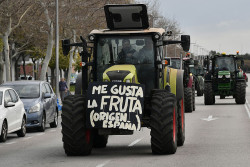 Nuestros agricultores y su esfuerzo.    Por José Antonio Avila López