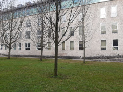 Ocho años de prisión para un hombre que agredió sexualmente a una joven ebria mientras dormía