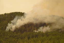 Ordenan m&aacute;s evacuaciones en La Matanza y en La Orotava (Tenerife)