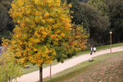 Oto&ntilde;o 2024 traer&aacute; temperaturas superiores a lo normal en toda Espa&ntilde;a y probablemente menos lluvias en oeste y Canarias