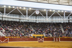 Otro Varapalo al Gobierno esta vez del Supremo que enmienda a Iceta y declara que en los bonos culturales se incluya la fiesta de los toros