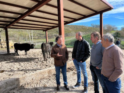 Palencia se compromete a impulsar la IGP Carne de Cantabria y el sello de calidad Carne de Tudanca