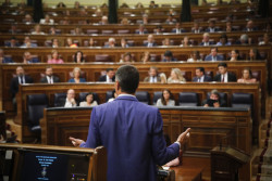 Pedro Sánchez da la espalda a los ciudadanos. Por Jesús Salamanca Alonso