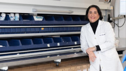 Personalizar la quimioterapia optimiza la respuesta al tratamiento y minimiza náuseas y vómitos