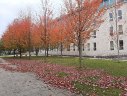 Piden cinco años de prisión para un acusado de abusar de una amiga que dormía en su vivienda