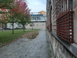 Piden tres años para un hombre por ofrecer dinero a una niña de 11 años para que estuviera un rato con él