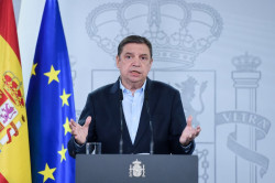 Planas conf&iacute;a en solicitar fondos UE de la reserva agr&iacute;cola "lo antes posible" ante el impacto de la DANA