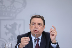 Planas duda de  los motivos de los transportistas y de si hay motivos para sus protestas