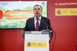 Planas insta a adoptar "inmediatamente" medidas con "extrema firmeza" en caso de aranceles de Estados Unidos