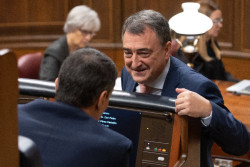 PNV, abierta la veda, exige el traspaso de la Seguridad Social al Pais Vasco antes de las elecciones vascas