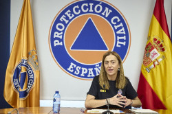 Protecci&oacute;n Civil se&ntilde;ala una "evoluci&oacute;n favorable" de los incendios con 15 todav&iacute;a activos