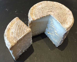 Quesoba y algo más