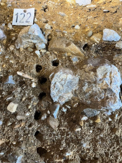 Recuperan ADN humano y animal en el sedimento de la cueva de El Mir&oacute;n