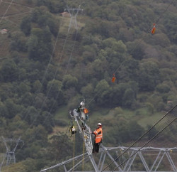 Red Eléctrica señalizará 160 kilómetros de líneas ubicadas en zonas de vuelo del quebrantahuesos en España