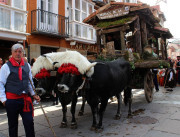 Reinosa celebrar&aacute; hoy el D&iacute;a de Campoo con el desfile de carretas pero sin bueyes