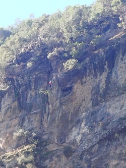  Rescatadas cinco cabras que huyeron del lobo y se quedaron en una cornisa de la que no pod&iacute;an salir en Li&eacute;bana