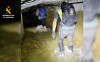  Rescatados esta madrugada dos senderistas y su perro al no poder continuar una ruta por Picos de Europa