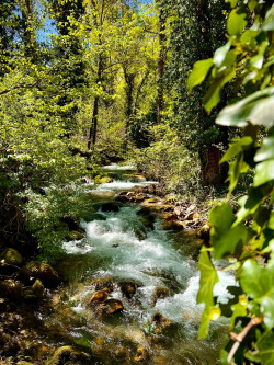 RESTAURACIÓN DE LA NATURALEZA  Por Juan Goti Ordeñana  Catedrático jubilado de la Universidad de Valladolid