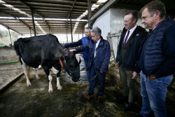Revilla entregará hoy la Medalla de Plata de Cantabria a la ganadería SAT Ceceño